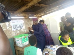 Fayemi votes
