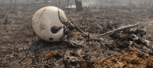 Two pilots killed as fighter jet crashes in India’s Bengaluru-TVC