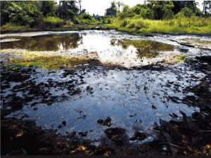 Oil-spill-impacted-site