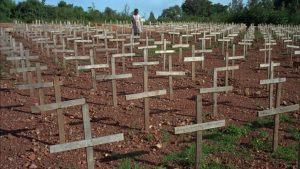 Rwandan Genocide
