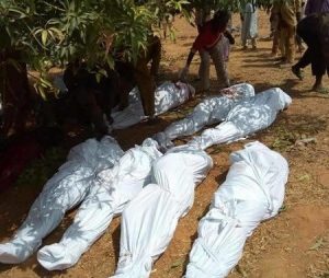 Niger killing