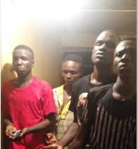 ‘Operation Puff Adder’:Police arrests 5 suspected armed robbers, cultists, recovers firearm, ammunition, IED