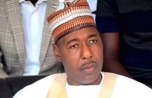Borno govt
