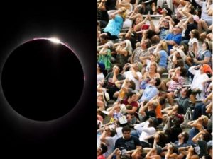 collagekfdkokodkod (2)