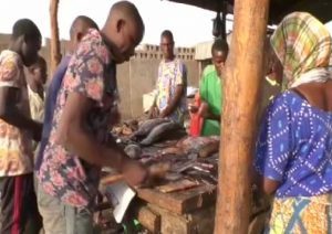 Niget Delta training