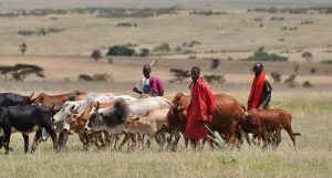 Fulani herders