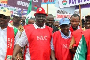 NLC Wage-TVC