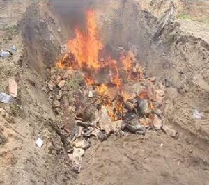 Rotten cow skin ‘ponmo’, Seme customs command #TVCnews