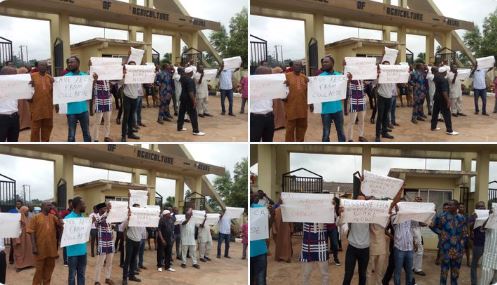 JUST IN: Ondo College of Agric lecturers protest imposition of Acting Provost