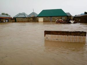 WhatsApp Image 2019-08-03 at 1.16.23 PM