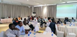 DPR sensitizes professionals on environmental impact studies