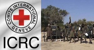 Red-Cross-and-Boko-Haram