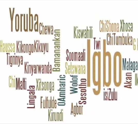 Indigenous languages to be introduced in basic education to aid learning