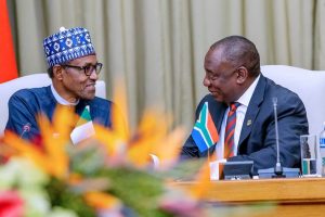 Nigeria, South Africa to issue 10-year Visa to businessmen