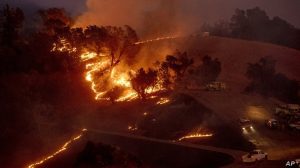 California wildfires: Residents, celebrities forced to flee as blaze spreads