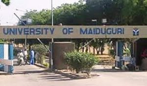 unimaid
