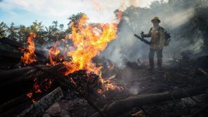 Brazil wildfires: blaze advances across Pantanal wetlands