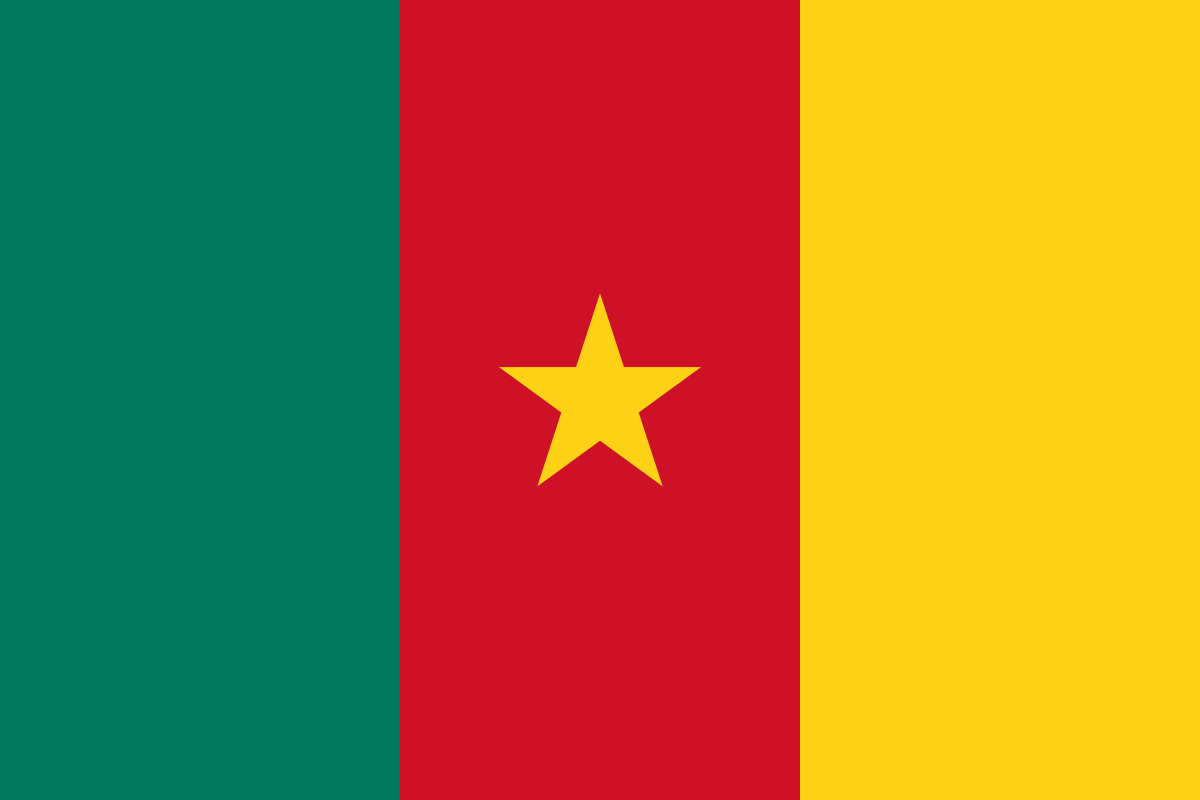 Cameroon grants ‘special status’ to Anglophone regions