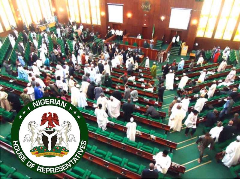 Members of House of Reps order 400 exotic cars, reject Nigerian ...