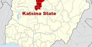 Katsina state records first suspected case of Coronavirus