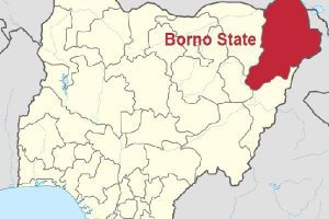 Borno Covid-19