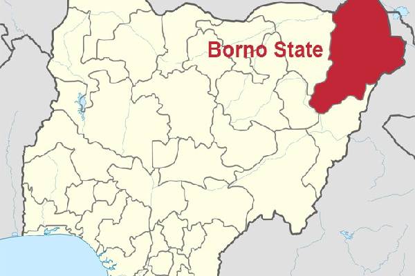 COVID-19: IDP, two others test positive in Borno