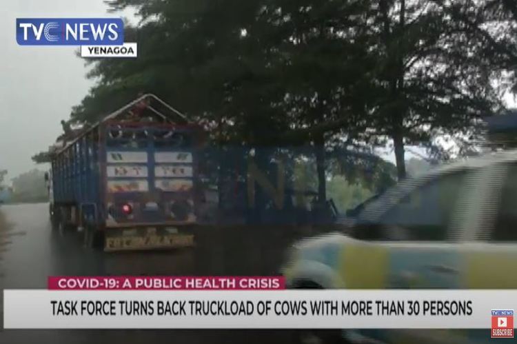 Task Force turns back truckload of cows with 30 persons