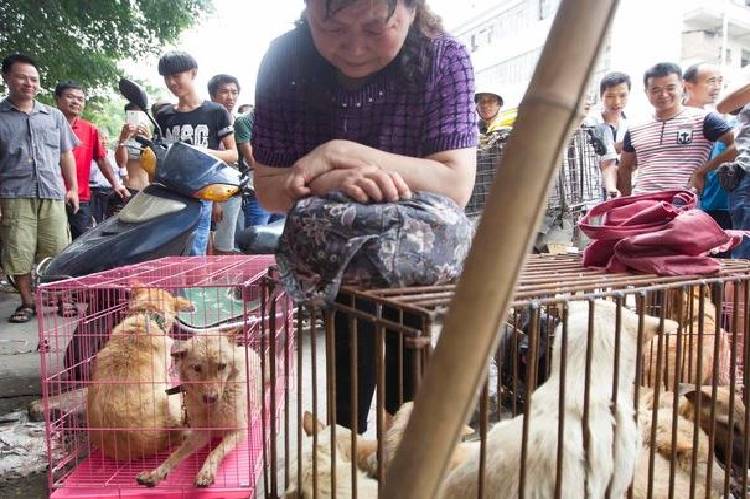 New Project – 2020-06-22T151055.968