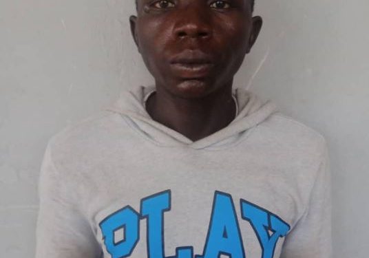 Police arrest serial rapist in Kano State