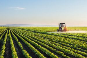 agriculture_750x499