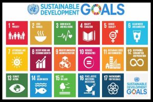SDGs_750x499