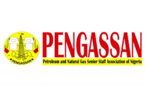 4c11ca96-pengassa_750x499 (1)