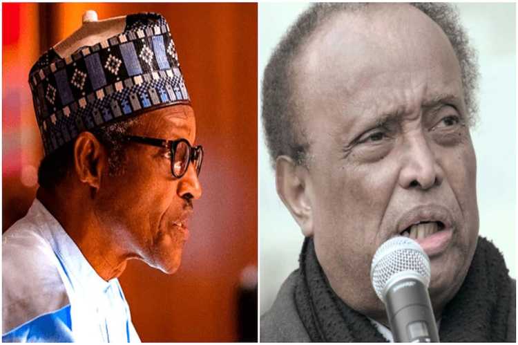 Buhari mourns Nigeria’s ‘long time friend’, Walter Carrington