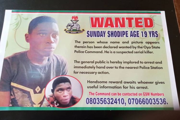 Police place N500,000 bounty on suspected serial killer - TVC News ...