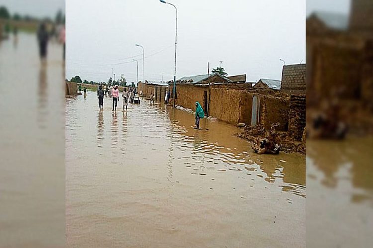 Gombe govt seeks more funding to tackle flooding