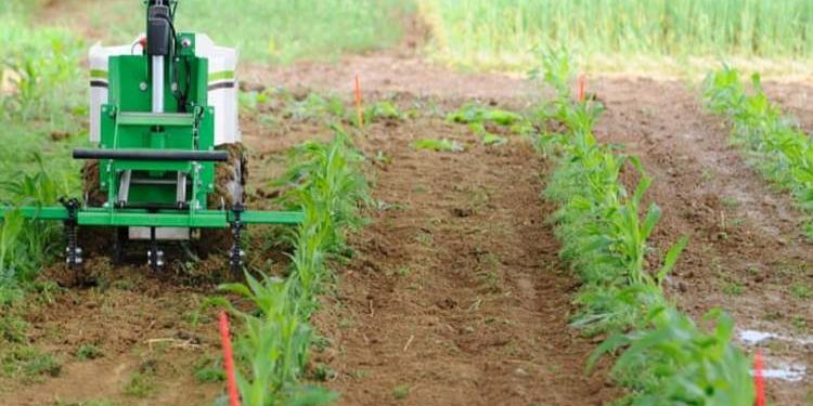 Climate Change: Farmers complain about dwindling food produce
