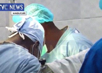 Borno Government Embarks On Massive Recruitment Of Healthcare Workers