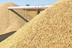 New Project – 2020-09-30T091228.252