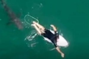 New Project – 2020-10-09T190240.972