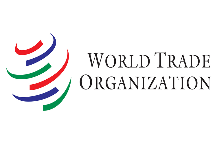 Why Okonjo-Iweala is still in the race – WTO