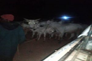 New Project – 2020-12-20T103842.610