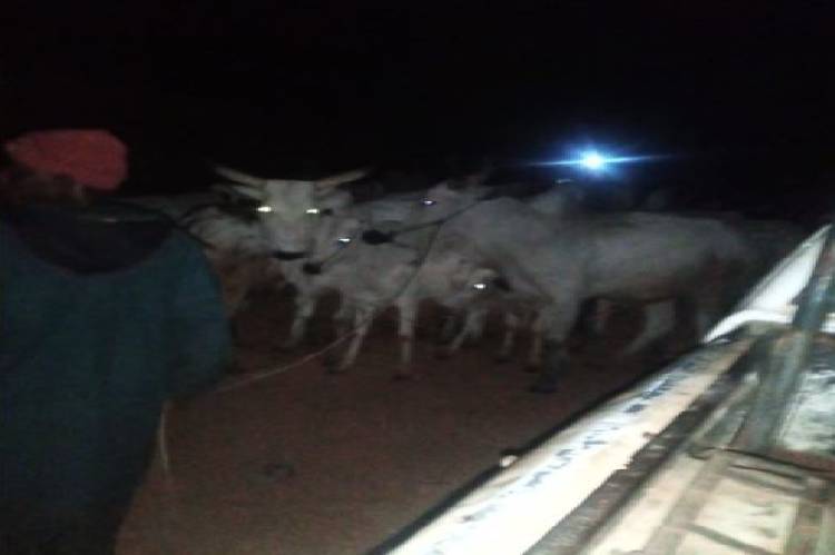 New Project – 2020-12-20T103842.610