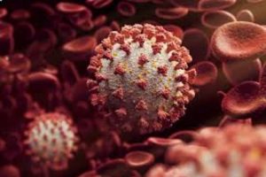 New Project – 2020-12-30T105946.404