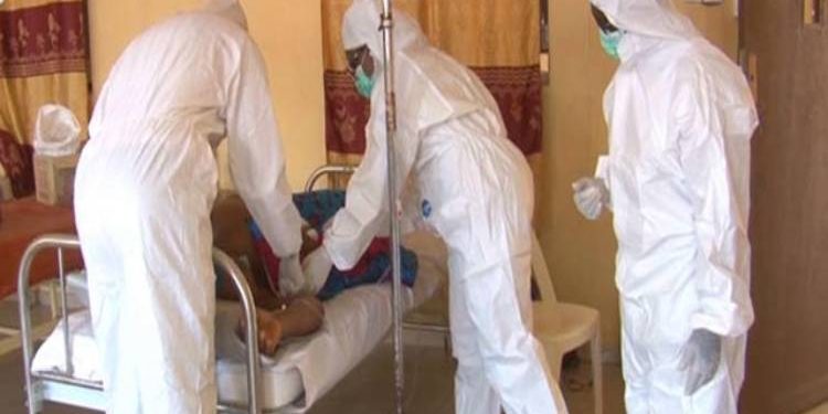 Lassa fever claimed 242 lives in 2020 – NCDC