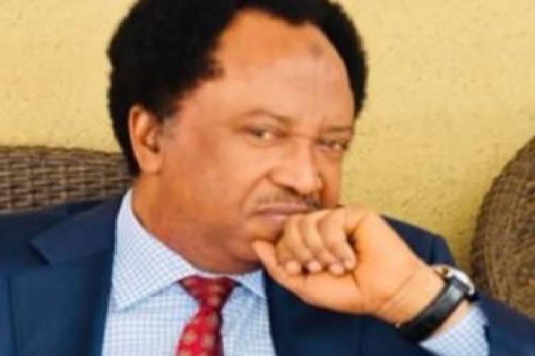 ‘Leave Kukah alone and face insecurity in North, Shehu Sani tells Northern youths