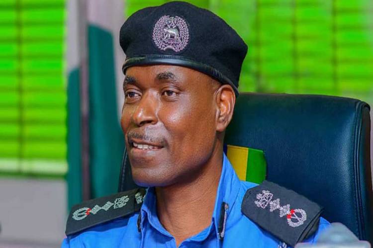 Police arrest 12 suspected criminals in Kano