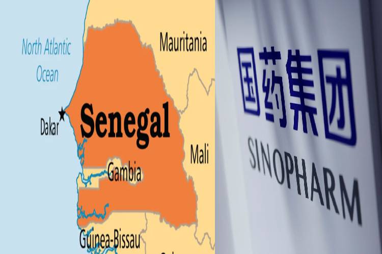 COVID-19 Second wave: Senegal in talks with China’s Sinopharm to procure vaccine