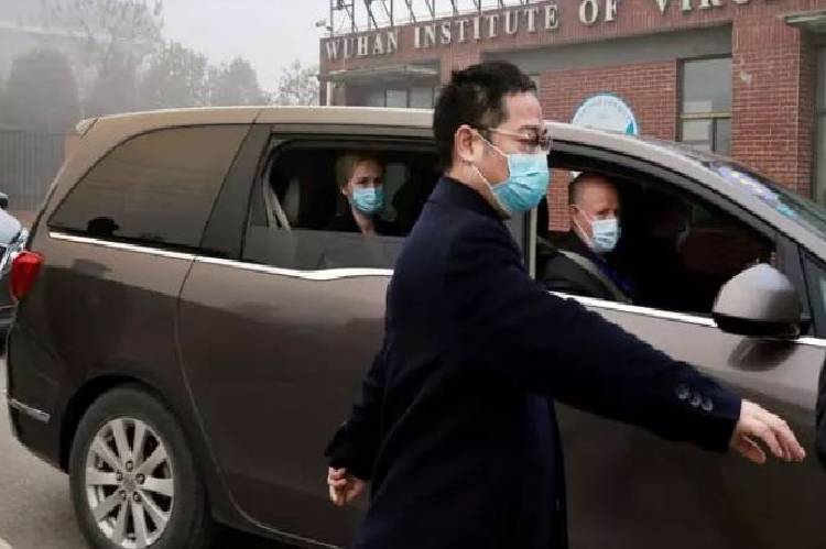 COVID-19: WHO team visits Wuhan Inst. of Virology, seeks clues to origins of pandemic