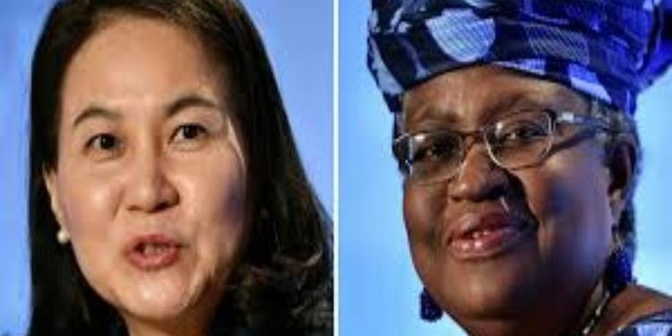 Okonjo-Iweala’s opponent for WTO DG withdraws candidacy
