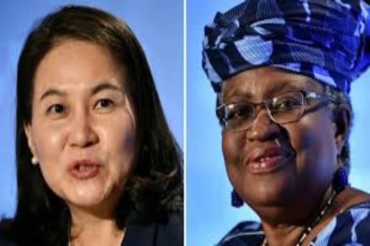 Okonjo-Iweala’s opponent for WTO DG withdraws candidacy
